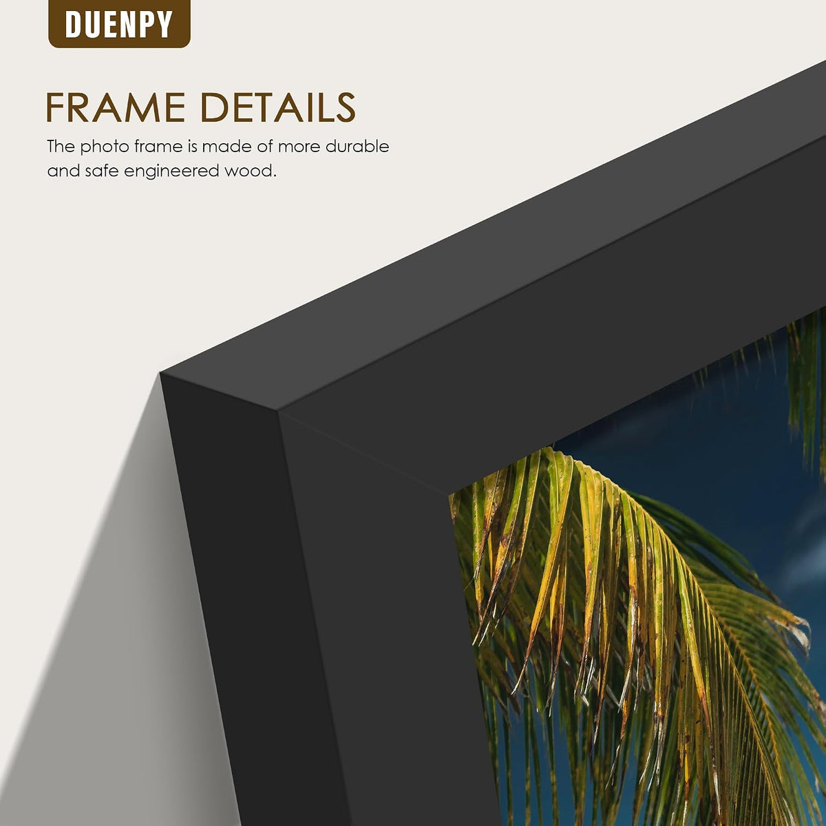 DUENPY 5 Folding 4x6 Accordion Wood Frame Plexiglass Black