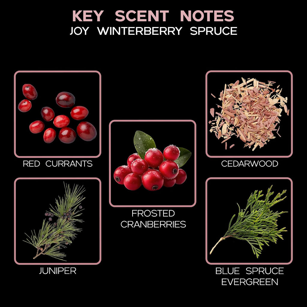 Reed Diffuser Set - Joy Winterberry Spruce Scented Diffuser with Sticks