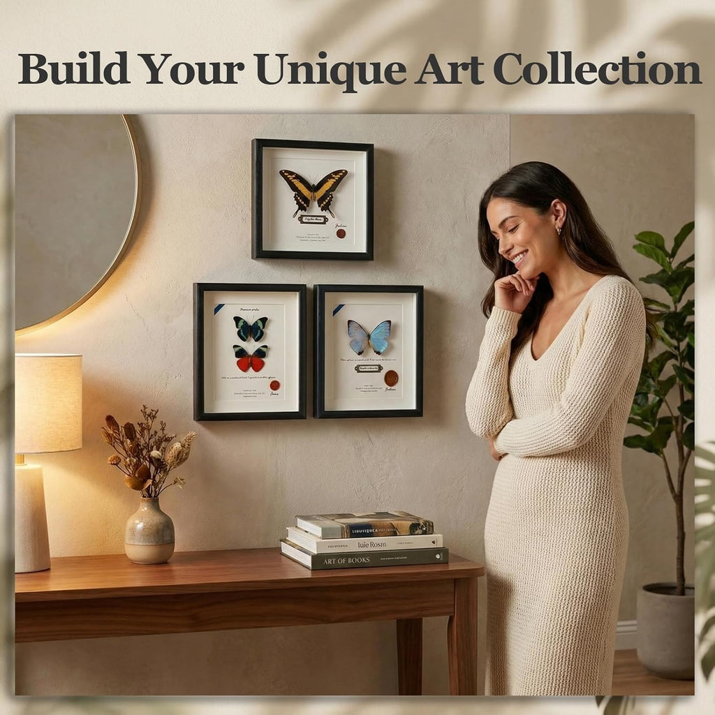 ArsVenciik Real Pearl Morpho Butterfly Taxidermy