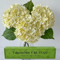 YalzoneMet 3 PCS Beige Creamy Hydrangea Artificial Flowers 21 inches Real Touch Faux Latex Hydrangea Flowers for Wedding Tables Centerpieces Fake Flowers for Party Home Kitchen Decor