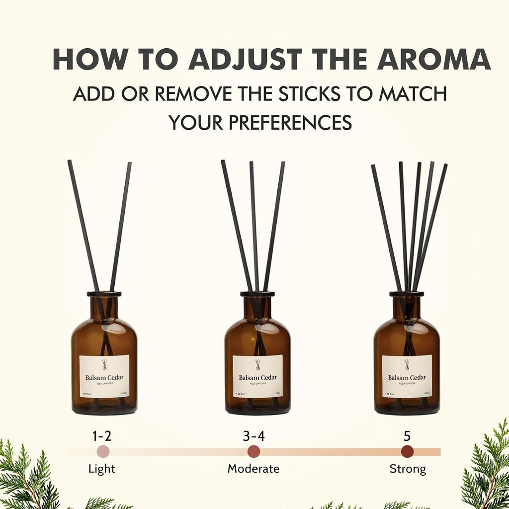 Balsam Cedar Reed Diffuser Set - Includes Reed Diffuser Sticks, 2 Pack Fragrance Oil and Glass Bottle, Reed Diffusers for Home Bathroom Shelf Decor & Gift, Air Fresheners (8.12 fl.oz)