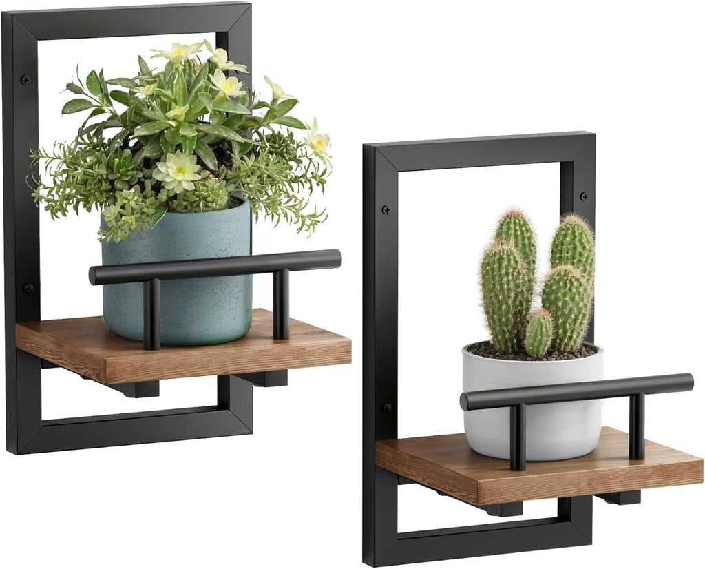 Sbosbo Floating Shelves for Wall Plant Shelf
