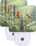 Fall Tree Set of 2 Night Lights, Spring Trees Birds Auto Sensor LED Dusk-to-Dawn Night Lamp Plug-in Indoor Home Decorative for Adult