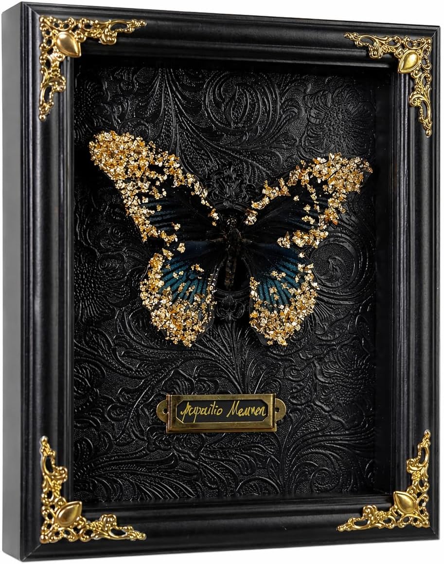 Real Handmade Taxidermy Butterfly Framed Handcrafted Art Processing