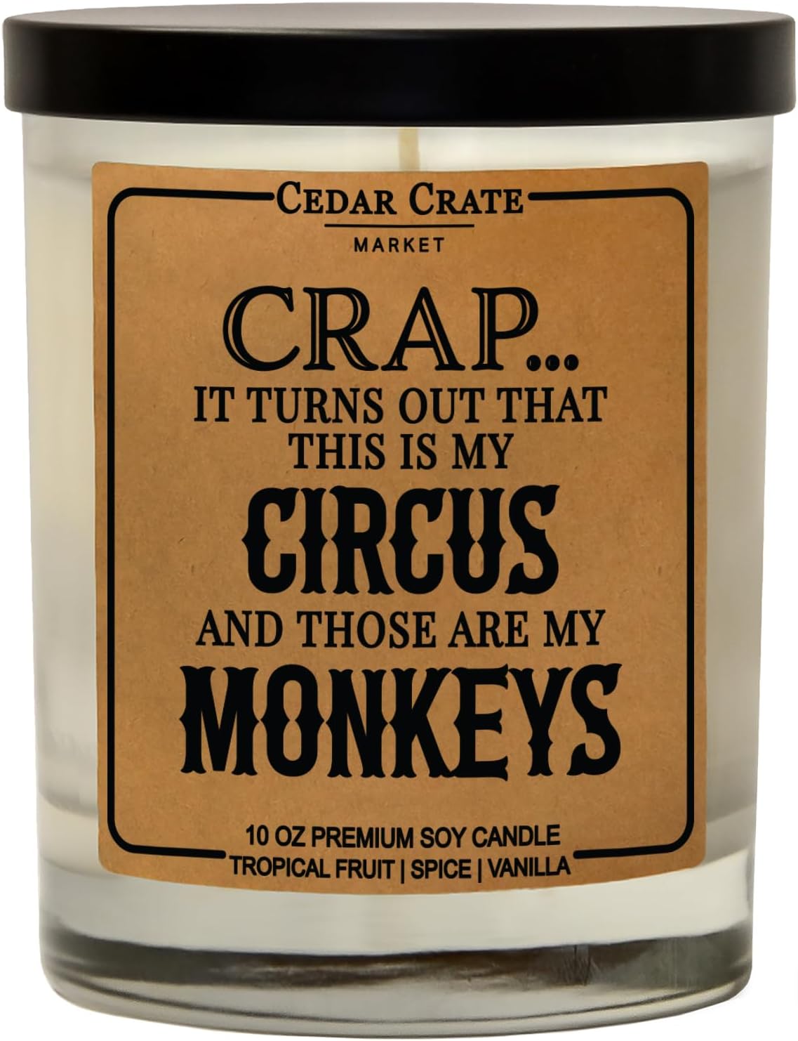Funny Candle Gifts for Mom - Made in USA - Mothers Day, Birthday Gifts for Women, Men, Dad, Best Friend, Sister, Coworker Candle, Birthday Candles, Unique Present from Daughter or Son, 100% Soy Wax