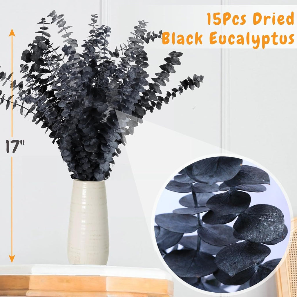15 Pcs Real Black Eucalyptus Stems, 17" Dried Plants Natural Branches