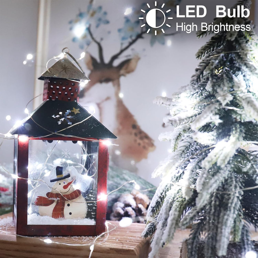 Christmas Fairy String Lights Battery Operated, Cool White