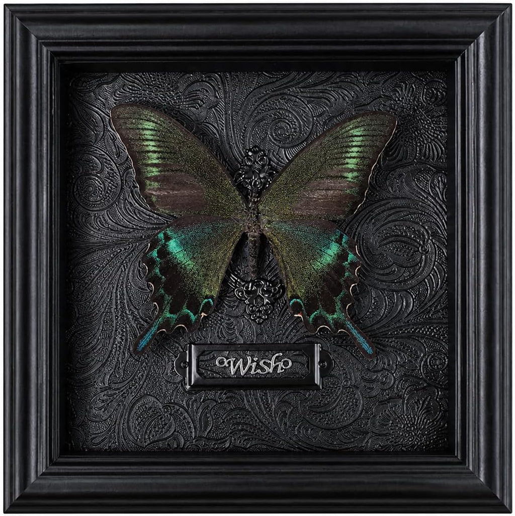 Real Handmade Taxidermy Butterfly Framed Gothic Baroque Art Home Decor