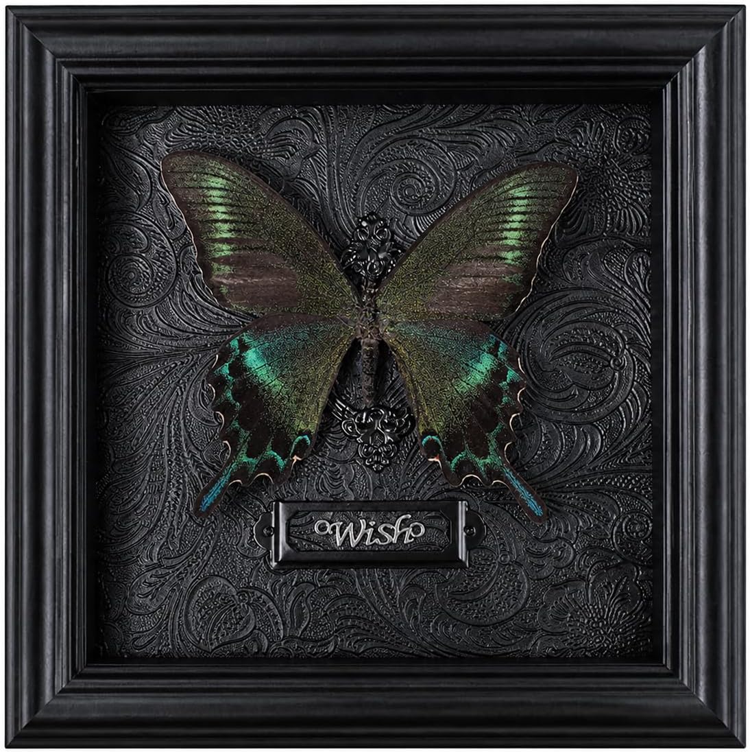 Real Handmade Taxidermy Butterfly Framed Gothic Baroque Art Home Decor