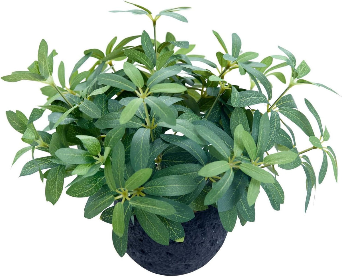 AlphaAcc 9.5" Artificial Olive Plant Black Pot Indoor Tabletop Decor