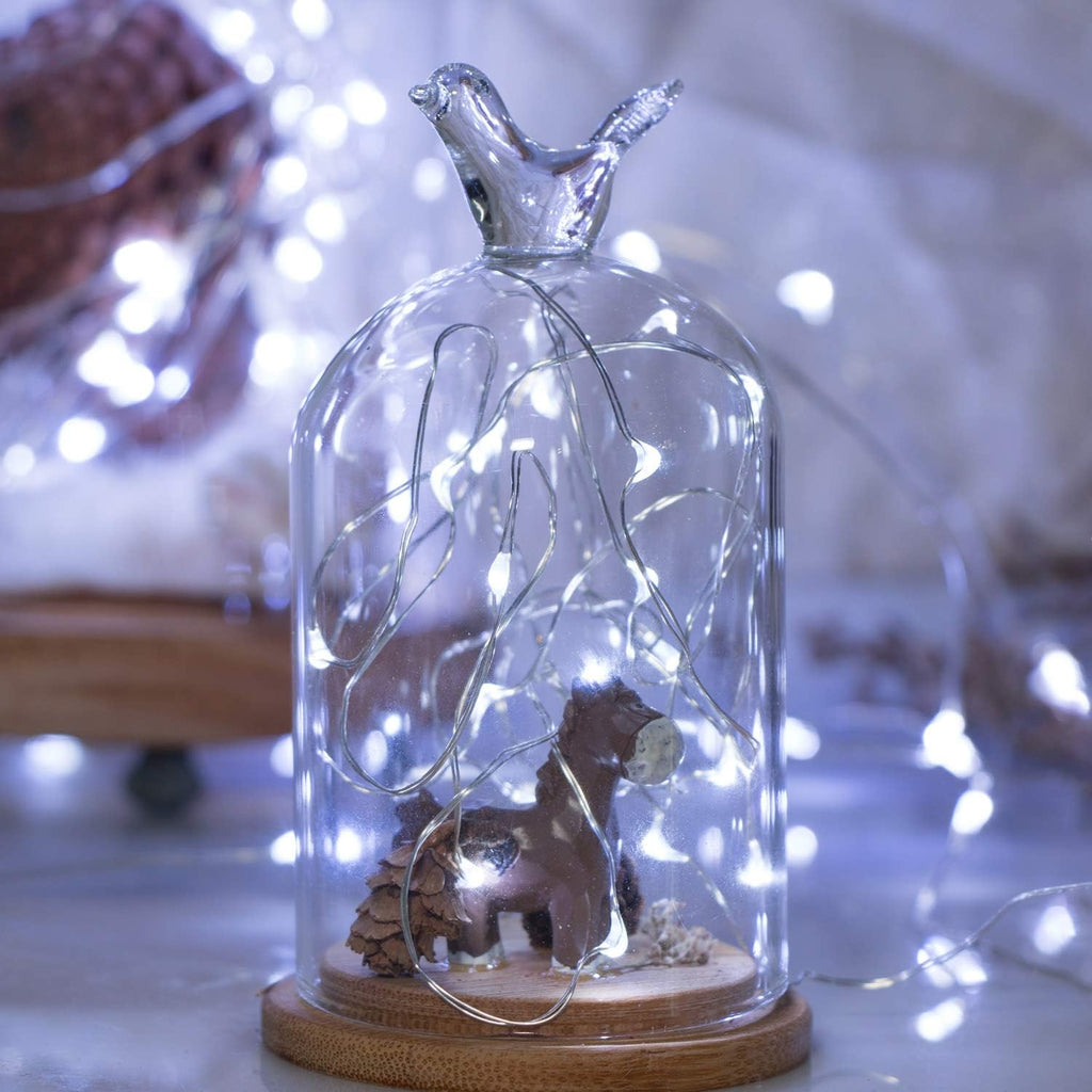 Minetom 5 Pack Fairy Lights Battery Operated, 7Ft 20 LED String Lights