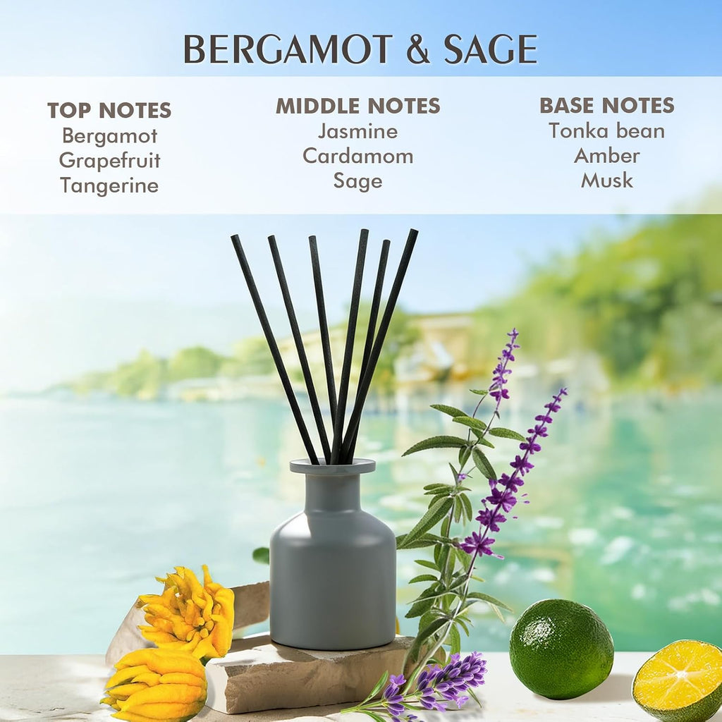 Bergamot & Sage Reed Diffuser Set,100ml(3.38 oz)