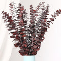 20 Pcs Dried Eucalyptus Stems, 17'' Real Red Leaves for Fall Decoration