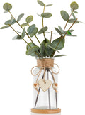 Artificial Eucalyptus Greenery Stems in Glass Vase,15" Doule Side 3D Fake Plants Eucalyptus Leaves faux Greenery for Centerpiece Table Decorations Home Room Decor office Desk Green Decor (Clear)