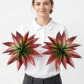 Artificial Succulents Fake Plants UV Resistant for Outdoor 2PC Red