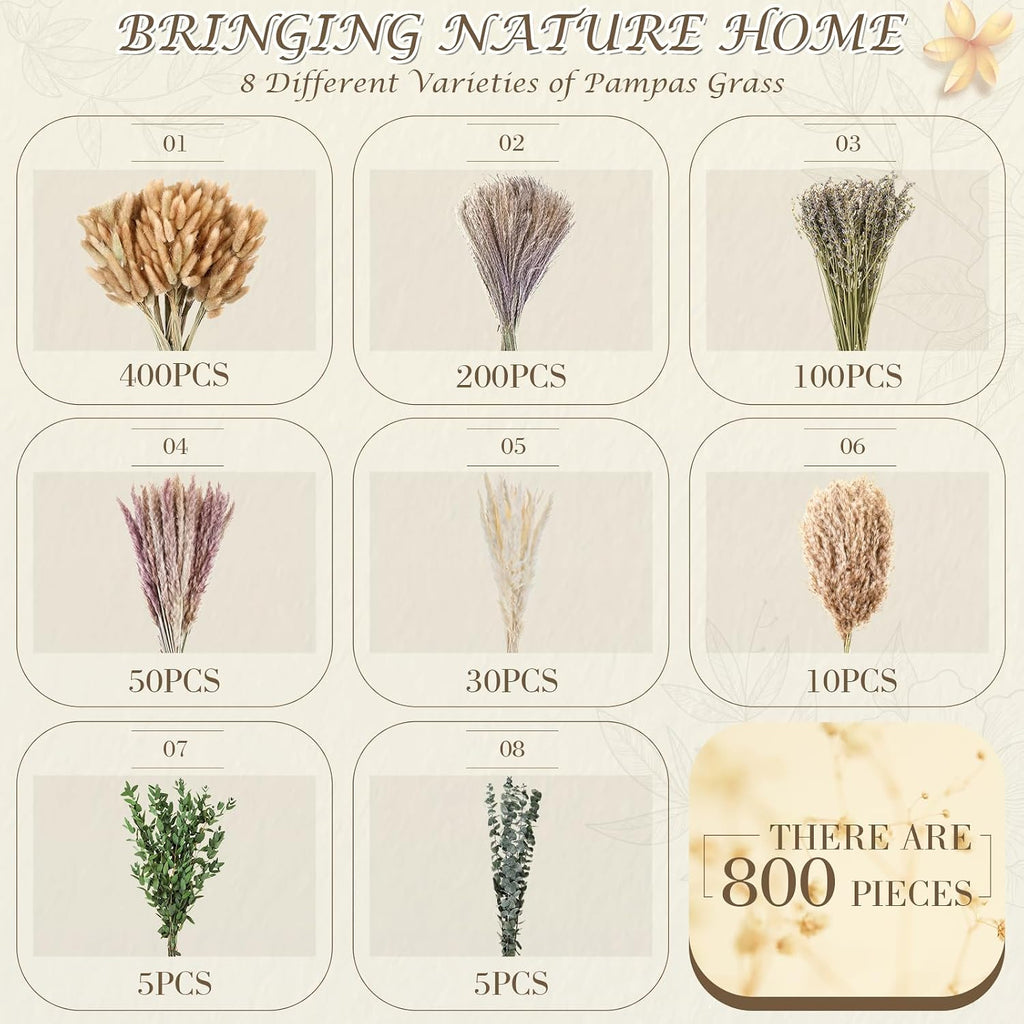 800 Pcs Boho Dried Pampas Grass Decor, Exquisite Lavender and Eucalyptus Dried Rustic Flowers Arrangements Bouquets for Your Bohemian Home, Bedroom, and Wedding Table Decoration