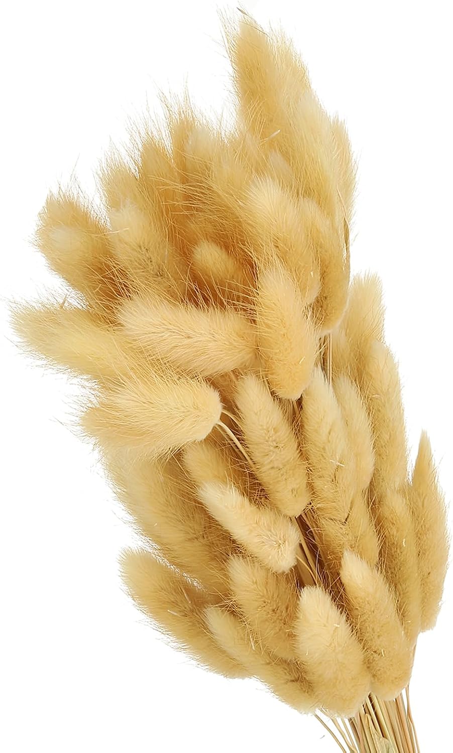 PATIKIL 15.7in Bunny Tails Dried Flowers, 120pcs Pampas Grass Decor Rabbit Tail Natural Pampas Grass Bulk Fluffy Faux Pampas Grass Dried for Home Boho Decor Vase Wedding Table, Beige