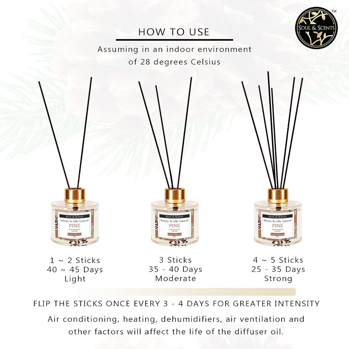 Soul & Scents Pine Scented 4.06 oz (120ml) Reed Diffuser Set with 6 Fiber Sticks for Room Decor | Home Fragrance Reed Diffuser | Air Freshners for Home