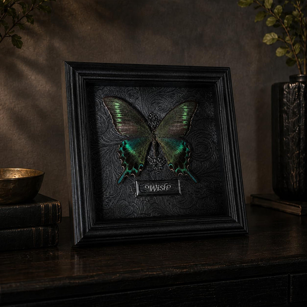 Real Handmade Taxidermy Butterfly Framed Gothic Baroque Art Home Decor
