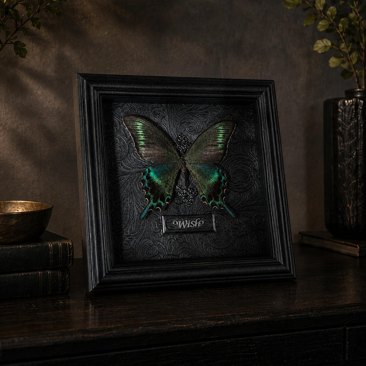 Real Handmade Taxidermy Butterfly Framed Gothic Baroque Art Home Decor