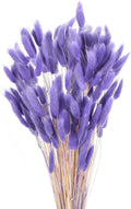 MECCANIXITY 120pcs Natural Rabbit Bunny Tails Dried Flowers 17" Dark Purple