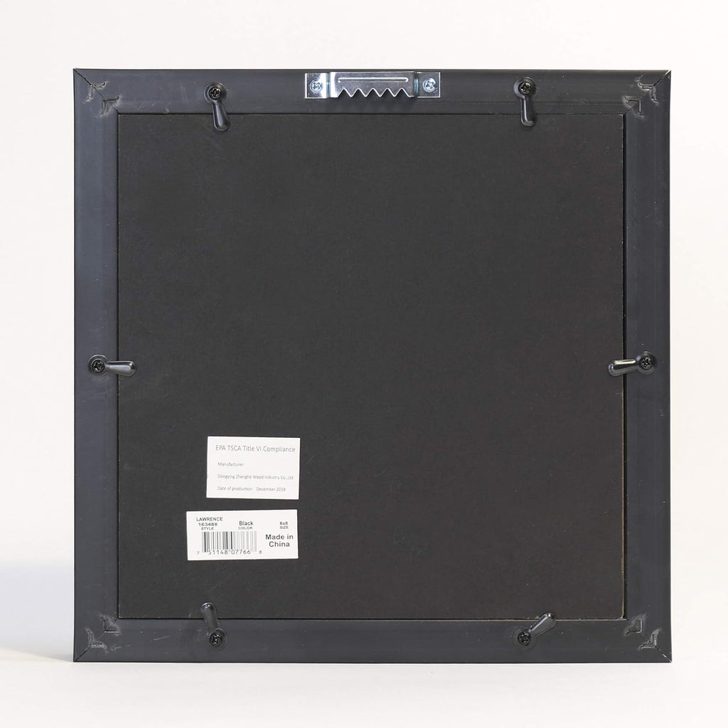 Lawrence Frames 8x8 Adventure Fund Black Shadow Box Frame