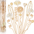 HFKPJRT 23Pcs Rattan Reed Diffuser Sticks Set, 10 Inch Natural Flower Reed Fragrance Diffuser, Unscented, for Home Office Decor