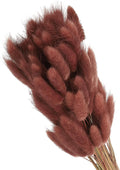 PATIKIL 15.7in Bunny Tails Dried Flowers, 150pcs Pampas Grass Decor Rabbit Tail Natural Pampas Grass Bulk Fluffy Faux Pampas Grass Dried for Home Boho Decor Vase Wedding, Brown Red