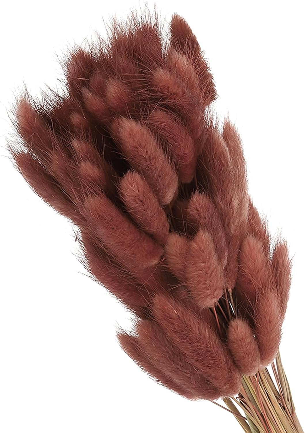 PATIKIL 15.7in Bunny Tails Dried Flowers, 150pcs Pampas Grass Decor Rabbit Tail Natural Pampas Grass Bulk Fluffy Faux Pampas Grass Dried for Home Boho Decor Vase Wedding, Brown Red