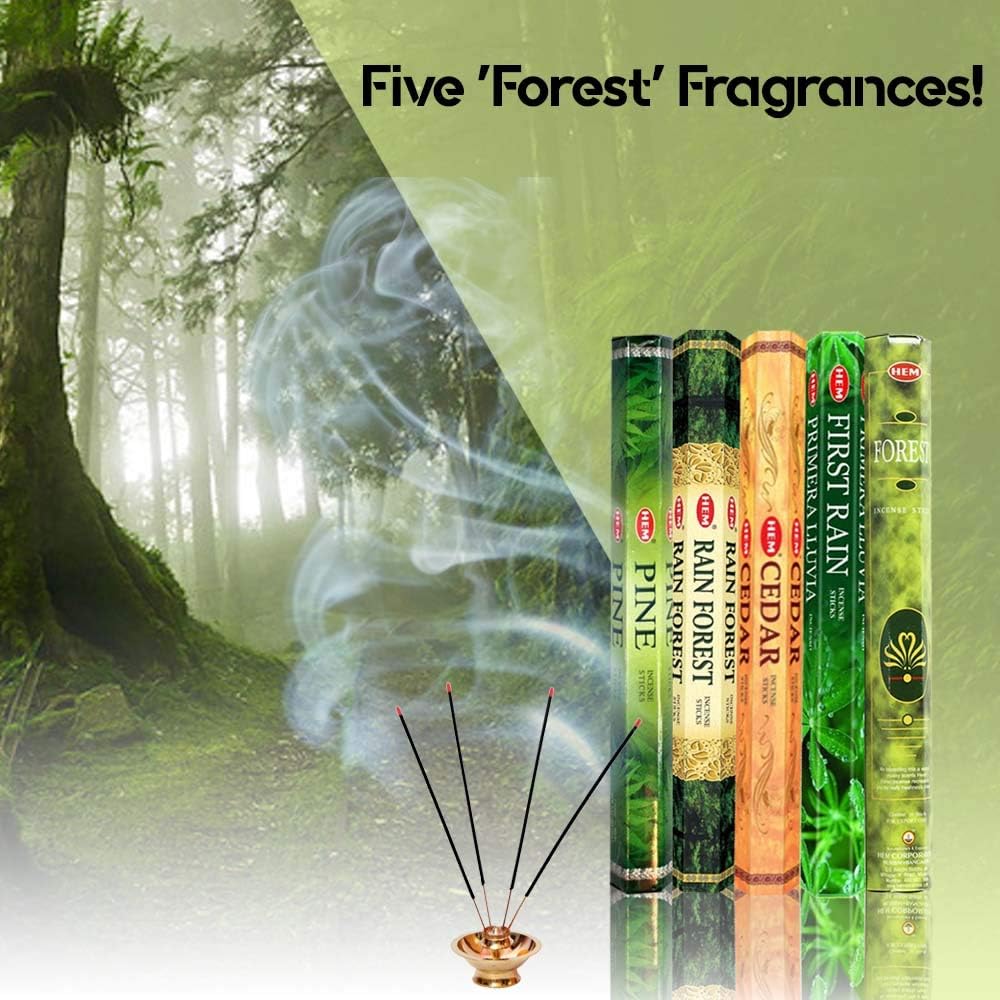 HEM Forest, Cedar, Pine, Rain Forest & First Rain Incense Sticks Combo – 5 Fragrances | 120 Sticks Total | Handcrafted, Long-Lasting Aroma for Meditation, Yoga, Relaxation & Home Freshness