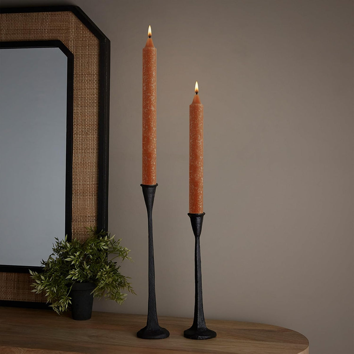 Root Candles 12-Count Unscented Timberline Arista Candles, 12-Inch, Rust