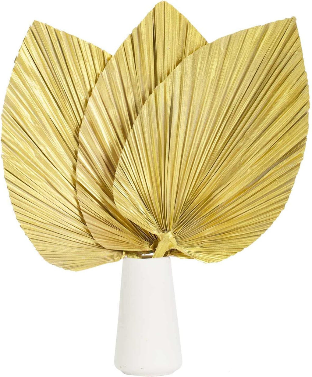 Large Dried Palm Leaves-17 Dried Palms Spear Plant Fans for Home Office Boho Decor | Tropical Wedding Decor | Party Table Decoration | Dried Wedding Flowers and Leaf Decor (Brown,3 Pcs)