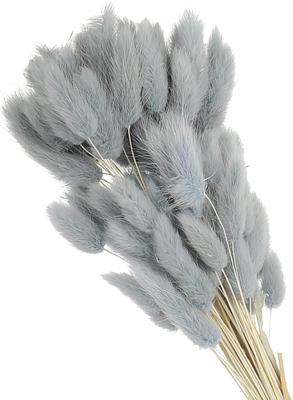 PATIKIL 15.7in Bunny Tails Dried Flowers, 150pcs Pampas Grass Decor Rabbit Tail Natural Pampas Grass Bulk Fluffy Faux Pampas Grass Dried for Home Boho Decor Vase Wedding, Gray Blue