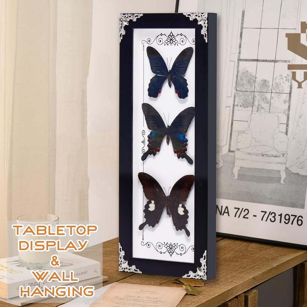 Framed 3 Real Butterfly Gothic Decor, 15.2"X6.5" Taxidermy Shadow Box Wall Decor for Witchy Home