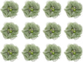 MECCANIXITY Artificial Rhinestone Chiffon Flower Heads, Light Green Faux Flowers 2 Inch for DIY Craft Wedding and Party Decoration Pack of 12