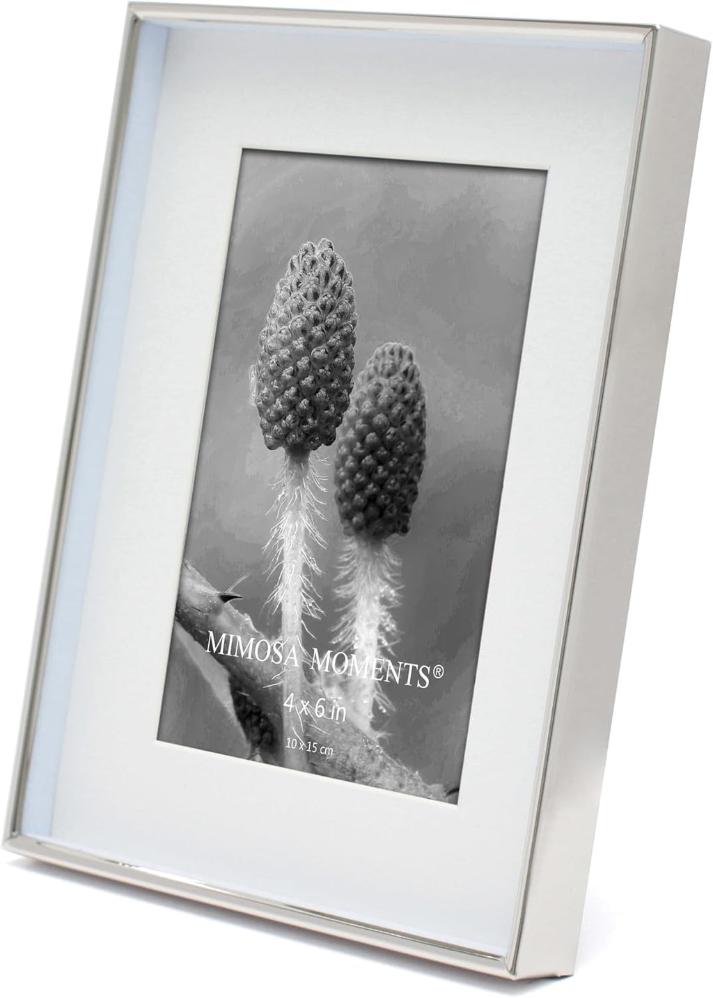 6x8 Silver Shadow Box Metal Picture Frame with 4x6 Photo Mat