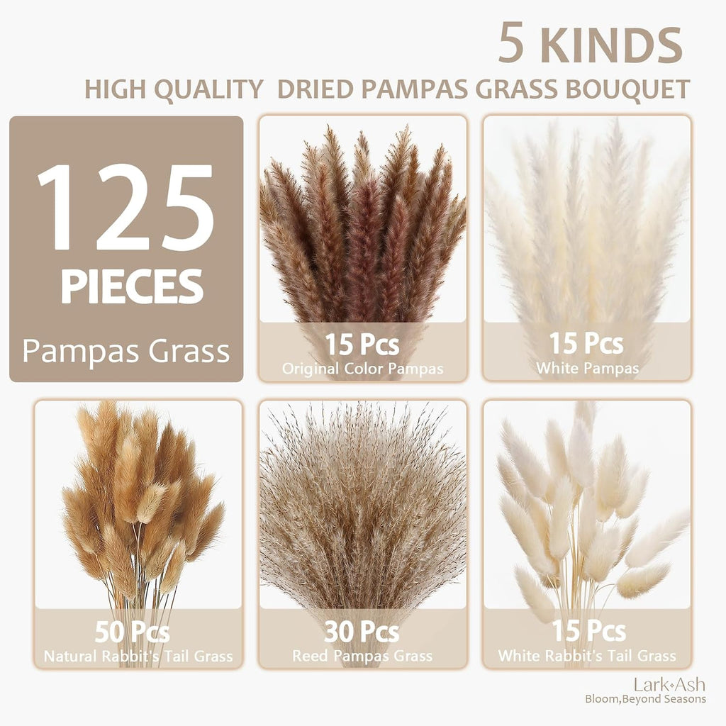 Dried Pampas Grass (125)