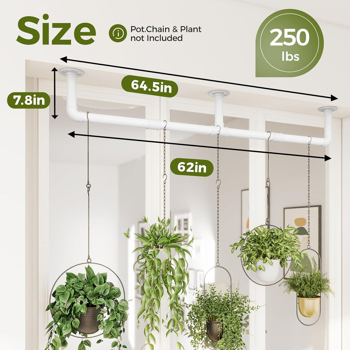 Bamworld Window Plant Hanger Indoor 63in Hanging Planters for Indoor Plants