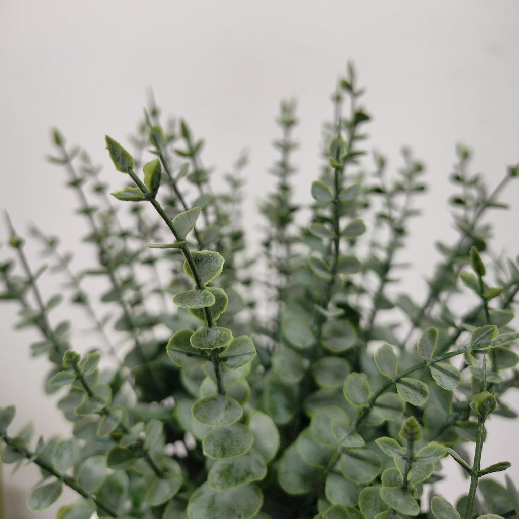 50 Pcs Artificial Eucalyptus Stems Fake Eucalyptus Greenery Branches for Floral Arrangements, Wedding Centerpiece, Crafts