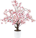 Caxchiling Artificial Cherry Blossom Tree 2FT, Faux Potted Tree Indoor