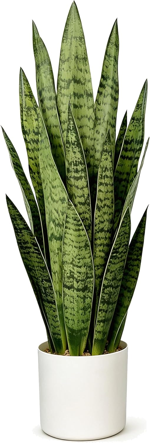 2.3FT Fake Snake Plant 27in Sansevieria Potted Plant in White Pot