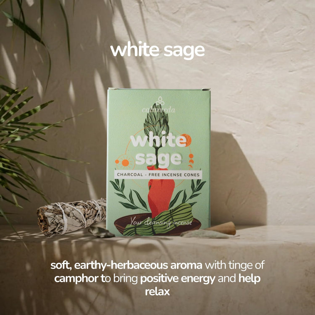 CALMVEDA White Sage & Frankincense Incense Cones 24-Pack, Spiritual Incense