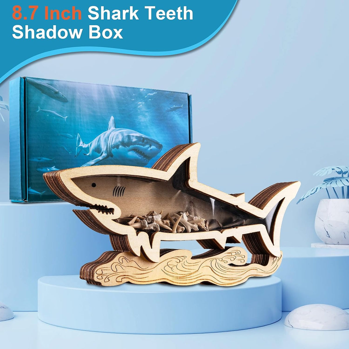 8.7 Inch Shark Tooth Holder, Shark Teeth Display Case, Shark Decor Gifts