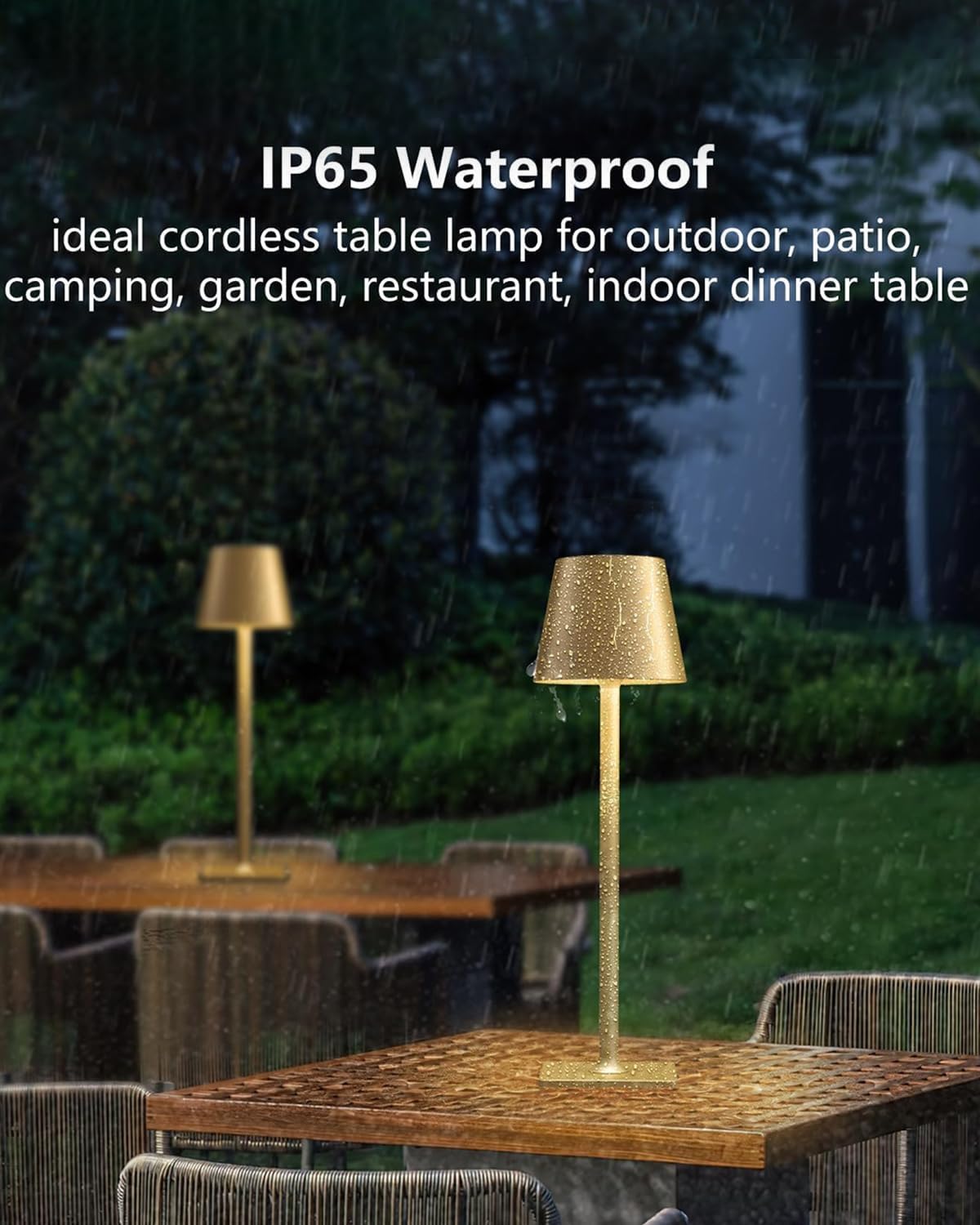 Fizrice Rechargeable Table Lamp Cordless Battery Operated, Gold 2 Pack
