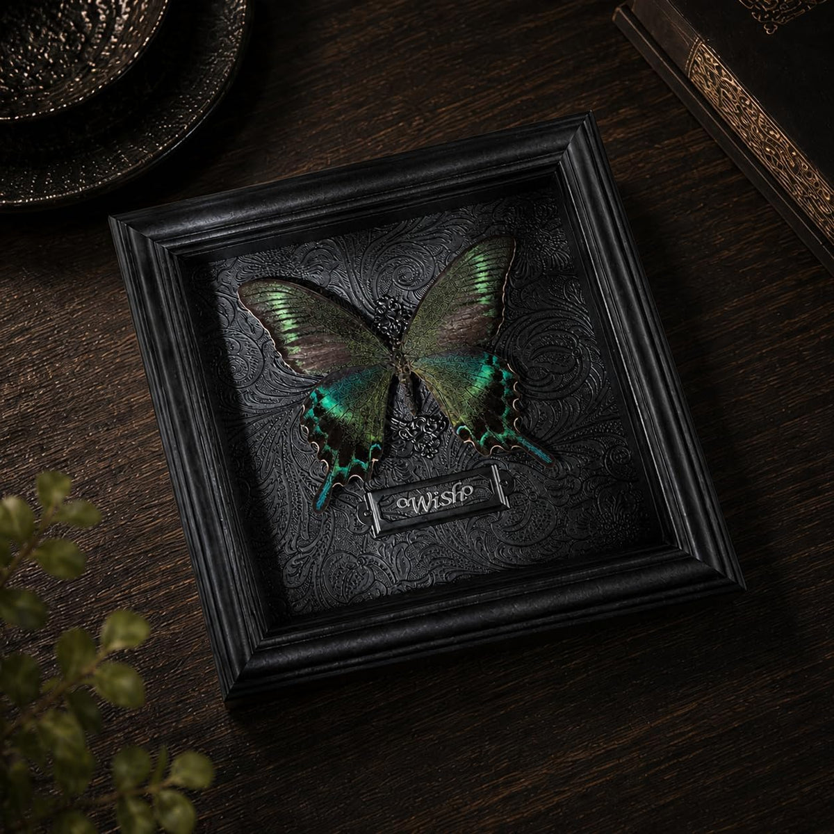 Real Handmade Taxidermy Butterfly Framed Gothic Baroque Art Home Decor