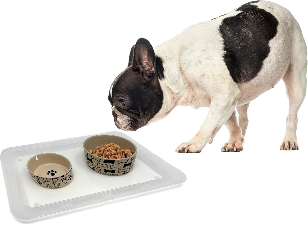 PetRageous 55142 Bone N Up Non-Slip Clear Plastic Dog Feeding Tray 19.125-Inch by 13.125-Inch for Dogs and Cats, White