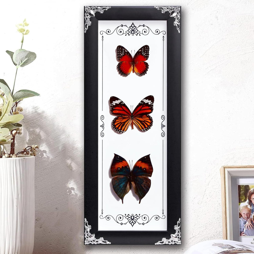 Framed 3 Real Butterfly Gothic Decor, 15.2"X6.5" Taxidermy Butterfly Shadow Box Wall Decor, Framed Butterfly Taxidermy for Witchy Home Decor