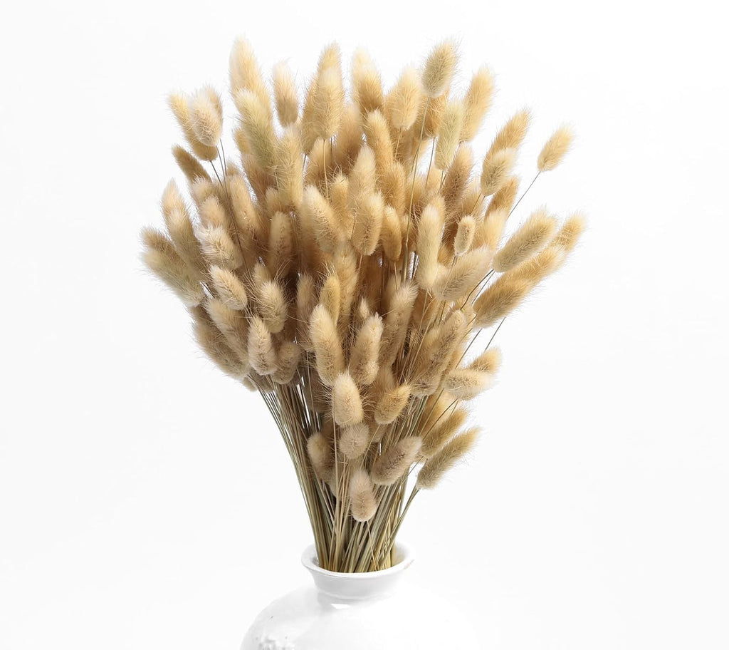 120PCS Bunny Tails Dried Flowers,17" Brown Pampas Grass Natural Rabbit Tail Grass for Boho Wedding,Baby Birthday Party,Home Table, Farmhouse Decor