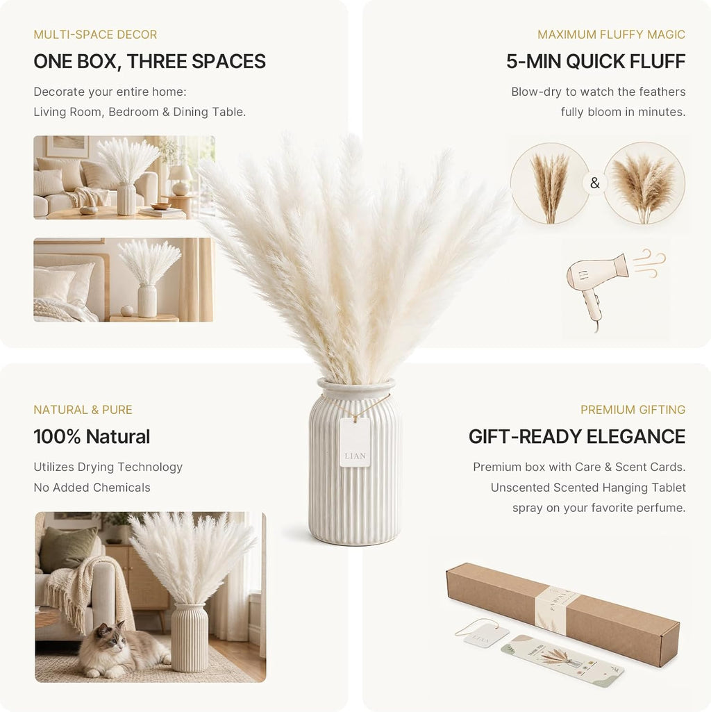 LIAN 100 Pcs White Small Pampas Grass Bouquet, Dried Reeds for Boho Decor