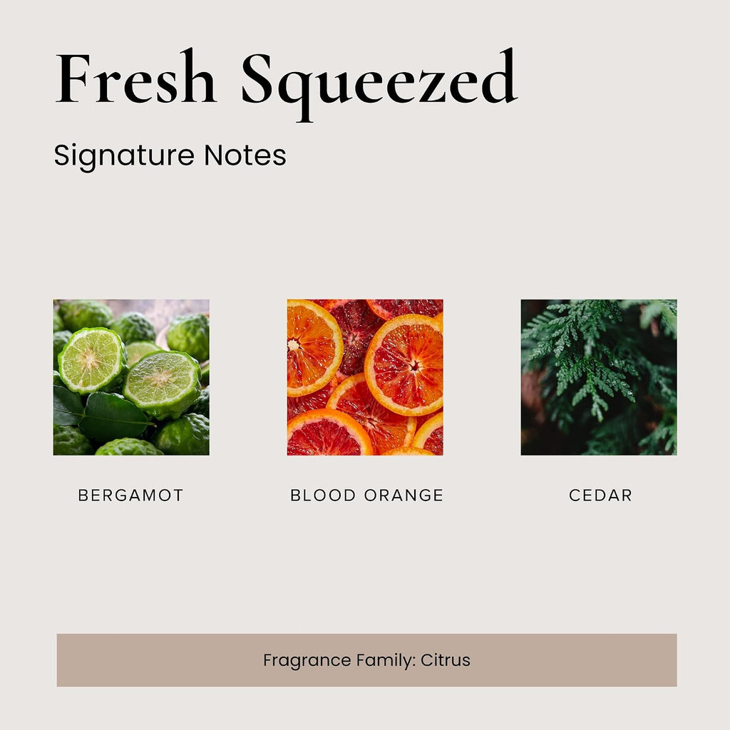 Broken Top Fresh Squeezed Natural Reed Diffuser Set | Continuous, Flame-Free Fragrance for Any Room, no Plug Needed
